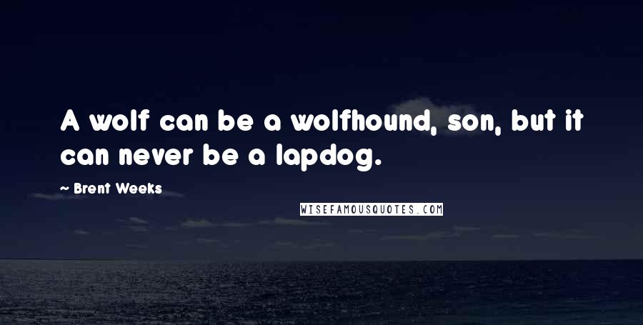 Brent Weeks Quotes: A wolf can be a wolfhound, son, but it can never be a lapdog.