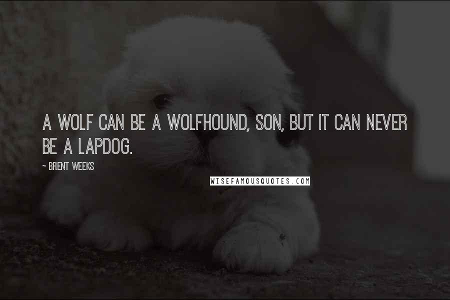 Brent Weeks Quotes: A wolf can be a wolfhound, son, but it can never be a lapdog.