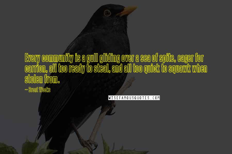 Brent Weeks Quotes: Every community is a gull gliding over a sea of spite, eager for carrion, all too ready to steal, and all too quick to squawk when stolen from.