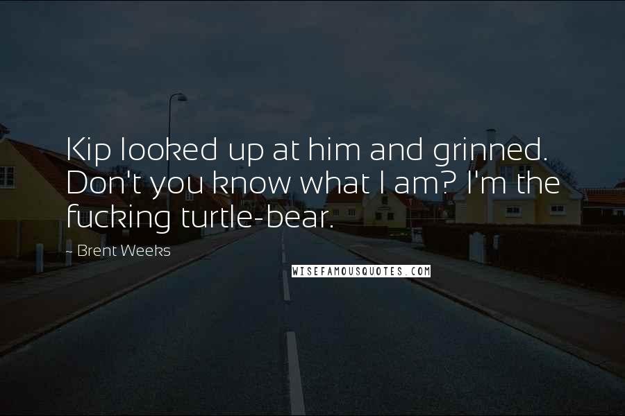 Brent Weeks Quotes: Kip looked up at him and grinned. Don't you know what I am? I'm the fucking turtle-bear.