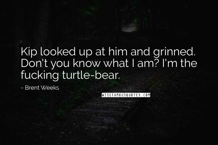 Brent Weeks Quotes: Kip looked up at him and grinned. Don't you know what I am? I'm the fucking turtle-bear.