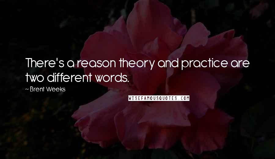 Brent Weeks Quotes: There's a reason theory and practice are two different words.