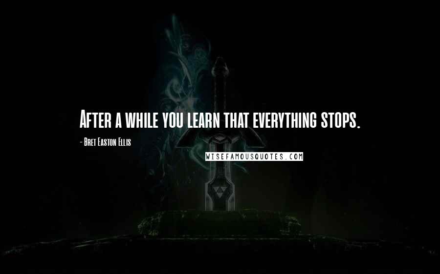 Bret Easton Ellis Quotes: After a while you learn that everything stops.