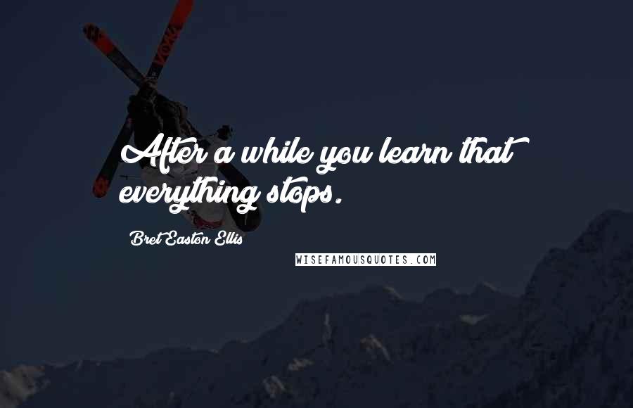 Bret Easton Ellis Quotes: After a while you learn that everything stops.