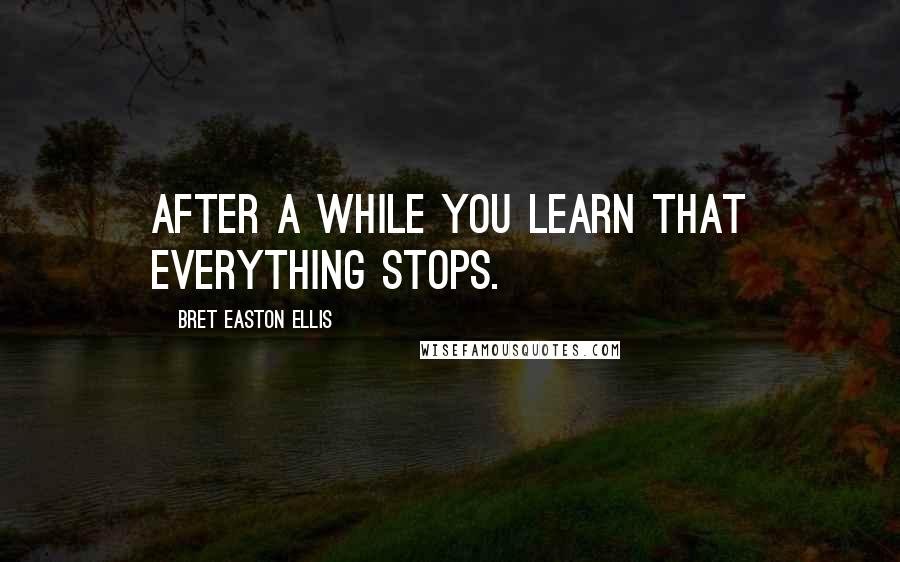 Bret Easton Ellis Quotes: After a while you learn that everything stops.