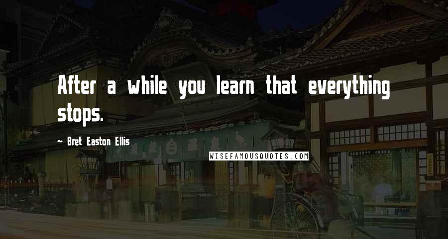 Bret Easton Ellis Quotes: After a while you learn that everything stops.