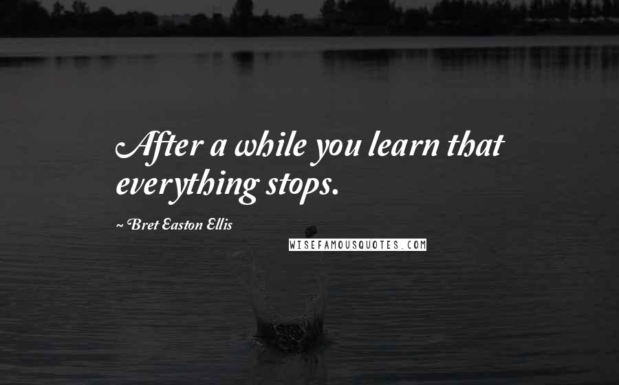 Bret Easton Ellis Quotes: After a while you learn that everything stops.