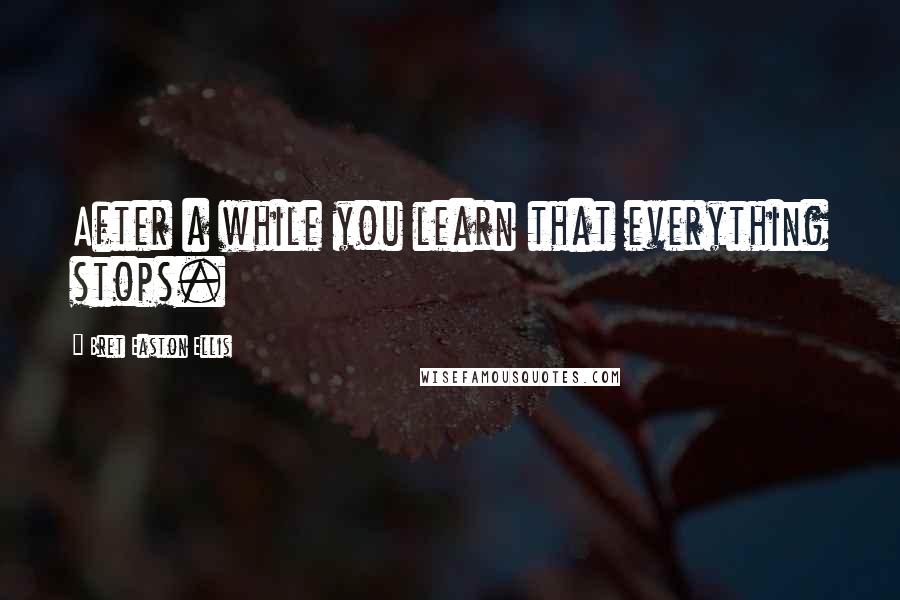 Bret Easton Ellis Quotes: After a while you learn that everything stops.