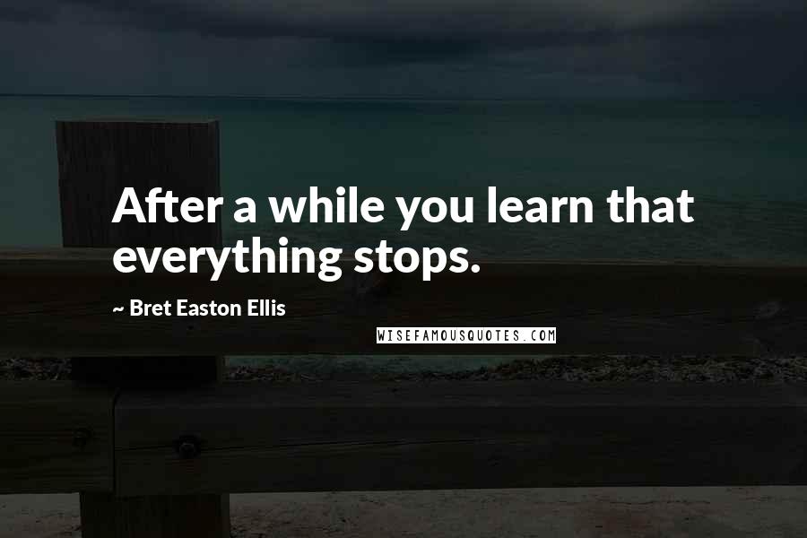 Bret Easton Ellis Quotes: After a while you learn that everything stops.