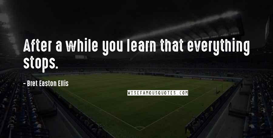 Bret Easton Ellis Quotes: After a while you learn that everything stops.