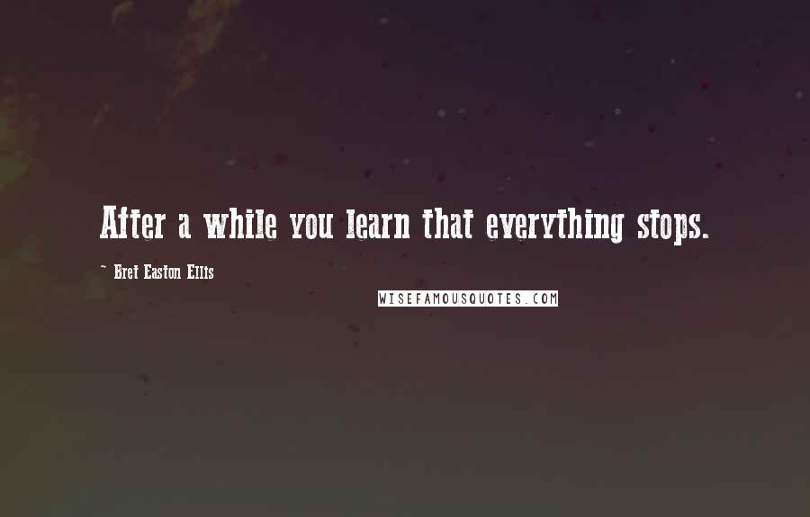 Bret Easton Ellis Quotes: After a while you learn that everything stops.