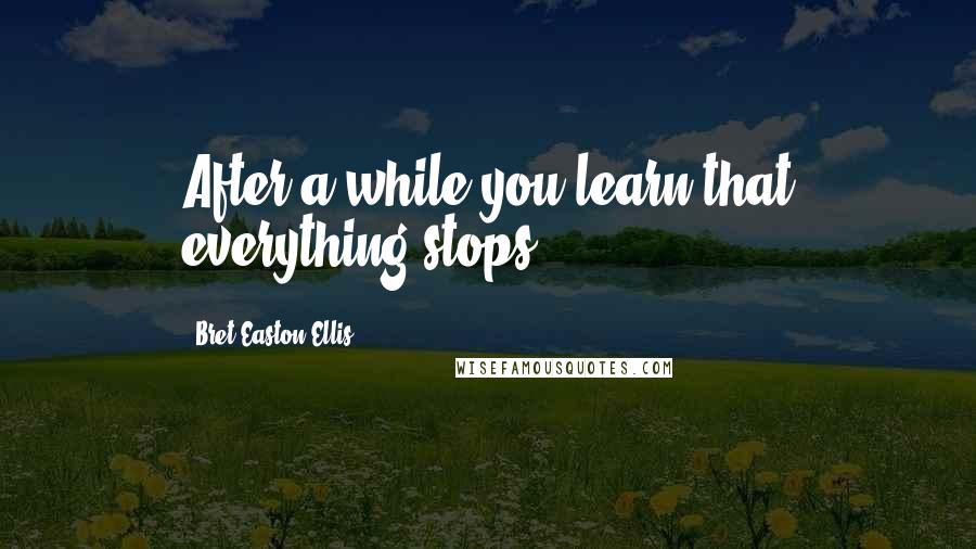 Bret Easton Ellis Quotes: After a while you learn that everything stops.