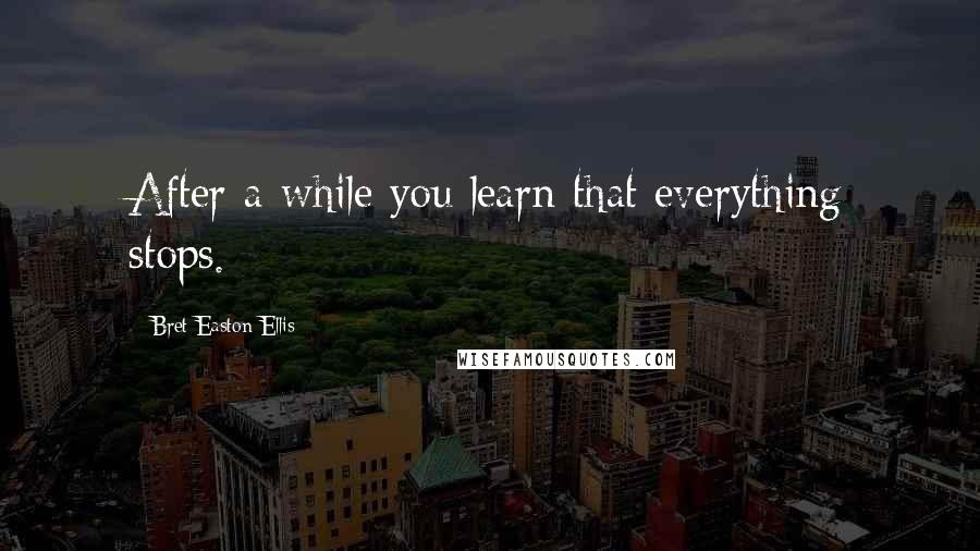 Bret Easton Ellis Quotes: After a while you learn that everything stops.