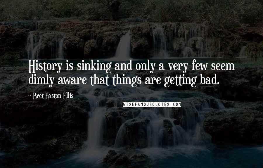 Bret Easton Ellis Quotes: History is sinking and only a very few seem dimly aware that things are getting bad.