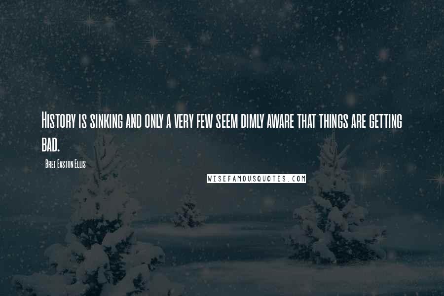 Bret Easton Ellis Quotes: History is sinking and only a very few seem dimly aware that things are getting bad.