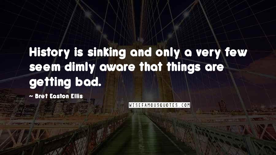 Bret Easton Ellis Quotes: History is sinking and only a very few seem dimly aware that things are getting bad.