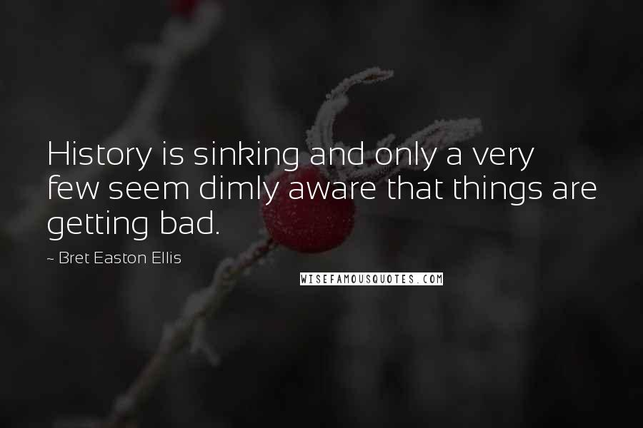 Bret Easton Ellis Quotes: History is sinking and only a very few seem dimly aware that things are getting bad.