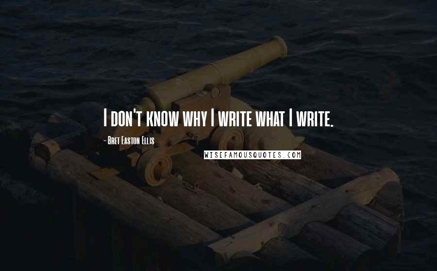 Bret Easton Ellis Quotes: I don't know why I write what I write.