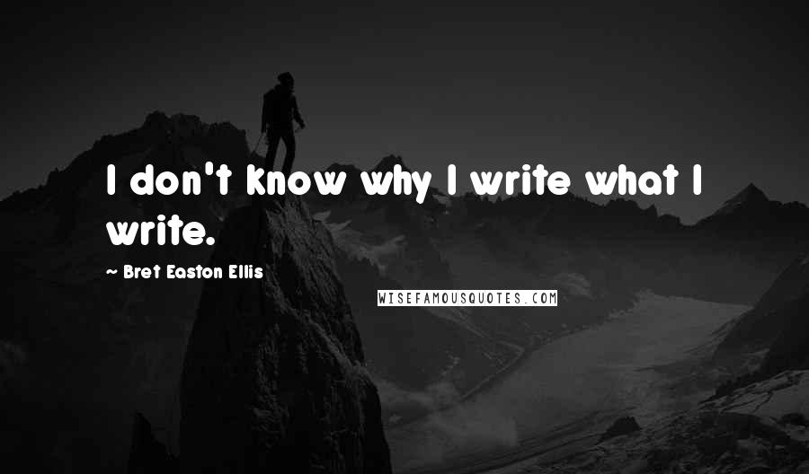 Bret Easton Ellis Quotes: I don't know why I write what I write.