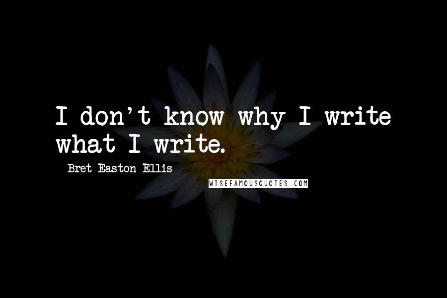 Bret Easton Ellis Quotes: I don't know why I write what I write.