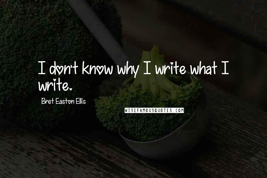 Bret Easton Ellis Quotes: I don't know why I write what I write.