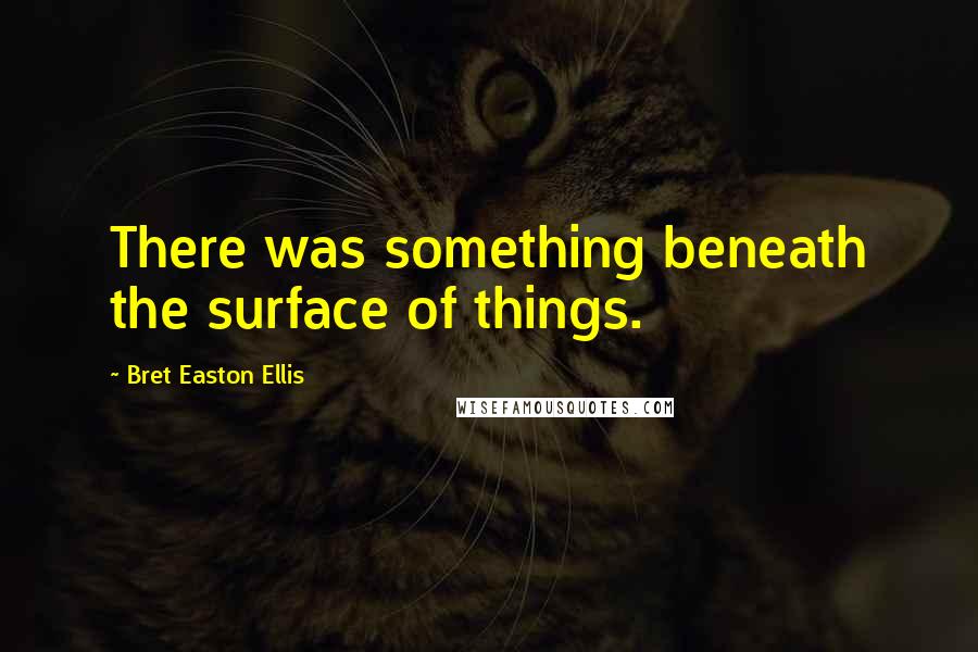 Bret Easton Ellis Quotes: There was something beneath the surface of things.