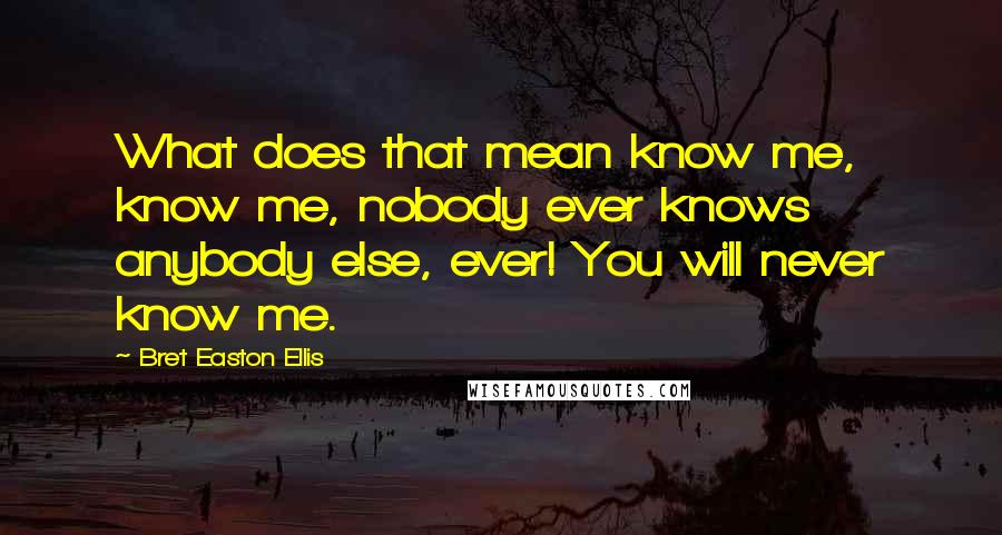 Bret Easton Ellis Quotes: What does that mean know me, know me, nobody ever knows anybody else, ever! You will never know me.