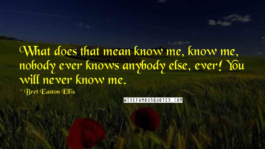 Bret Easton Ellis Quotes: What does that mean know me, know me, nobody ever knows anybody else, ever! You will never know me.