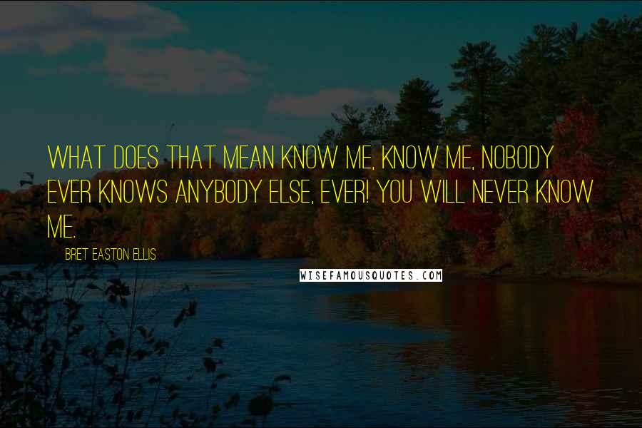 Bret Easton Ellis Quotes: What does that mean know me, know me, nobody ever knows anybody else, ever! You will never know me.