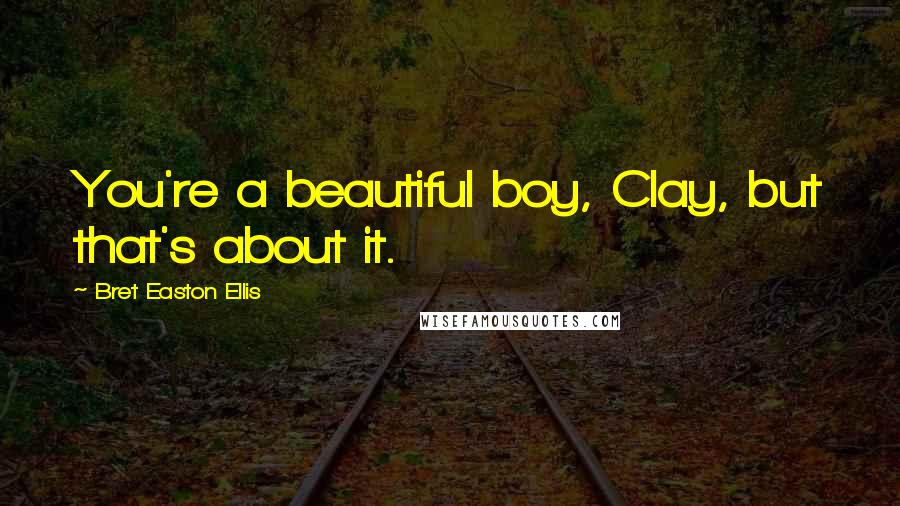 Bret Easton Ellis Quotes: You're a beautiful boy, Clay, but that's about it.