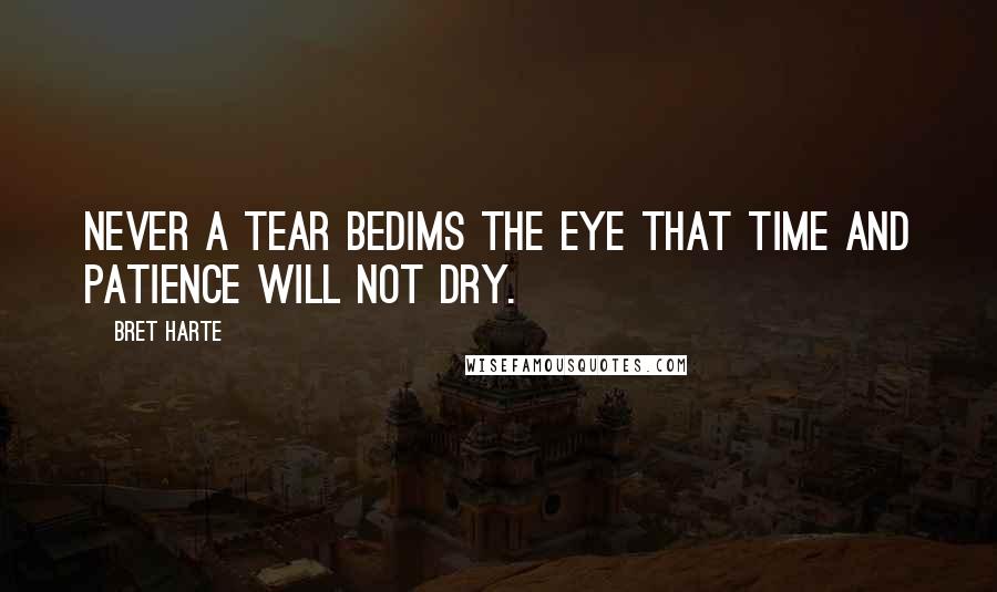 Bret Harte Quotes: Never a tear bedims the eye that time and patience will not dry.