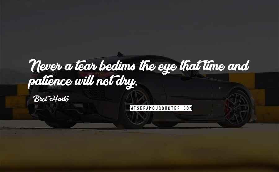 Bret Harte Quotes: Never a tear bedims the eye that time and patience will not dry.