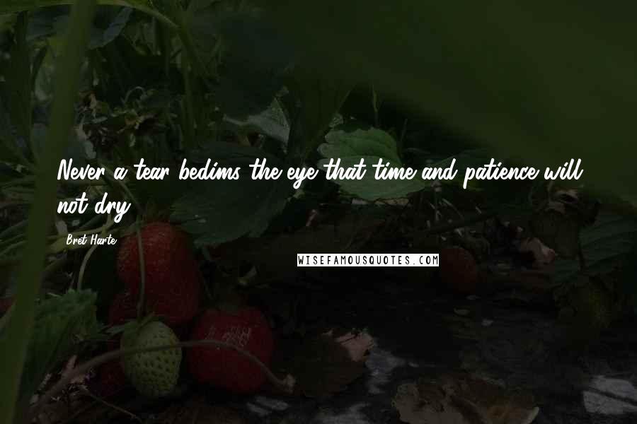 Bret Harte Quotes: Never a tear bedims the eye that time and patience will not dry.