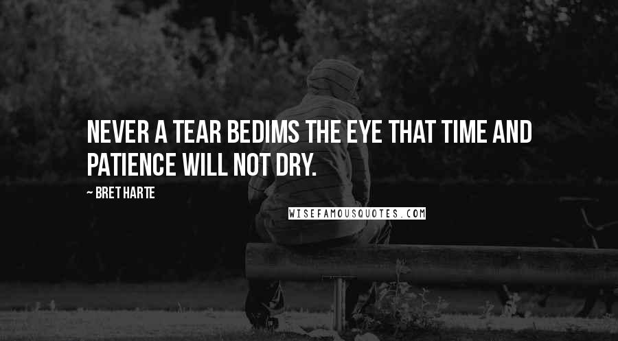 Bret Harte Quotes: Never a tear bedims the eye that time and patience will not dry.