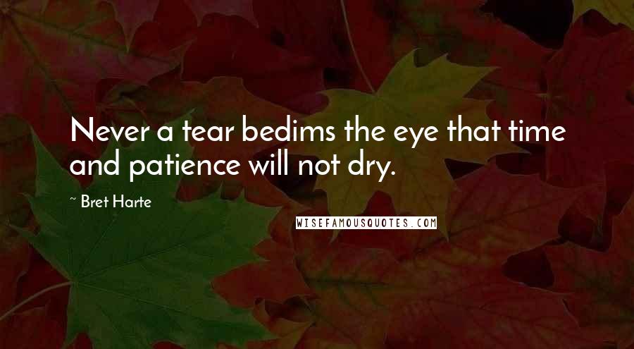 Bret Harte Quotes: Never a tear bedims the eye that time and patience will not dry.