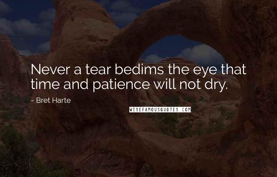 Bret Harte Quotes: Never a tear bedims the eye that time and patience will not dry.