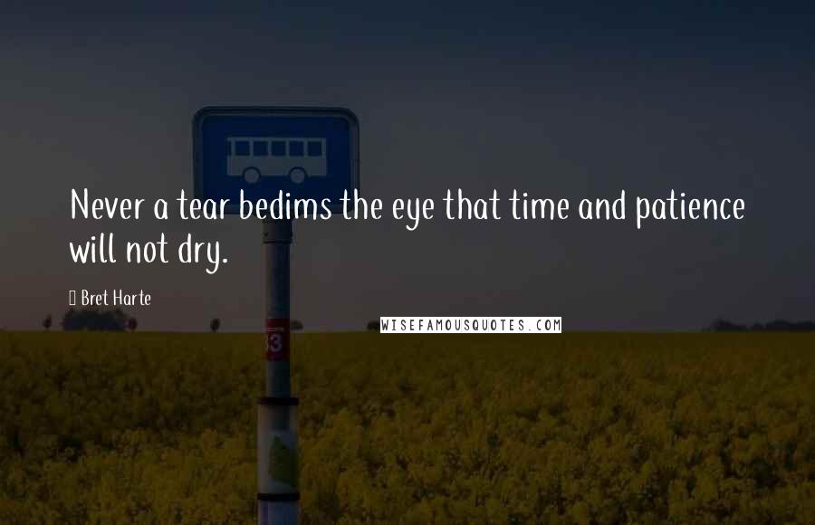 Bret Harte Quotes: Never a tear bedims the eye that time and patience will not dry.