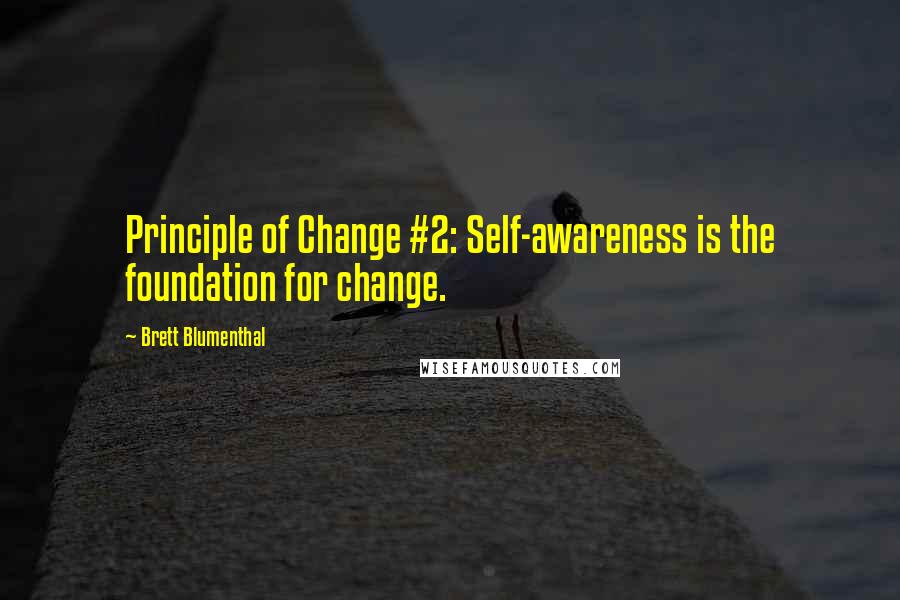 Brett Blumenthal Quotes: Principle of Change #2: Self-awareness is the foundation for change.