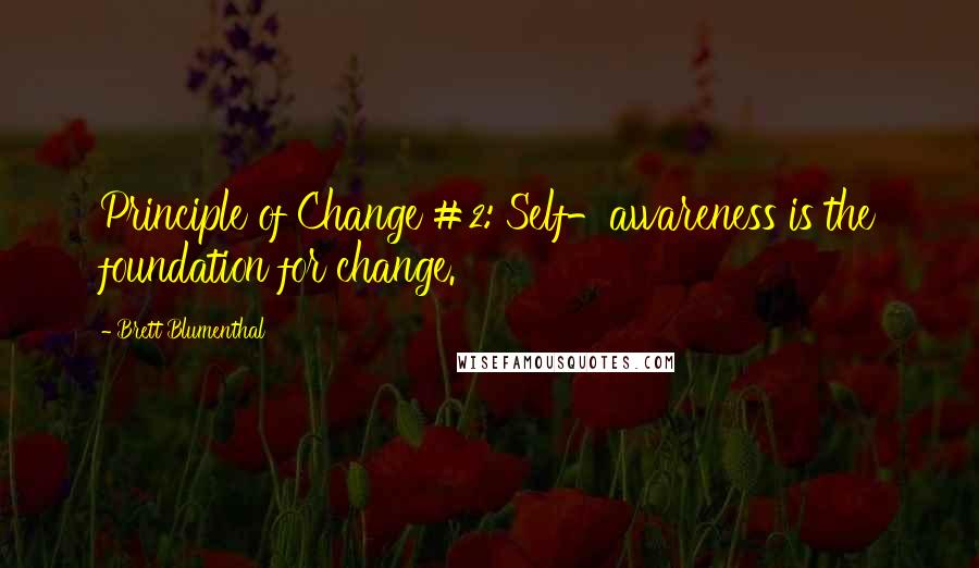 Brett Blumenthal Quotes: Principle of Change #2: Self-awareness is the foundation for change.