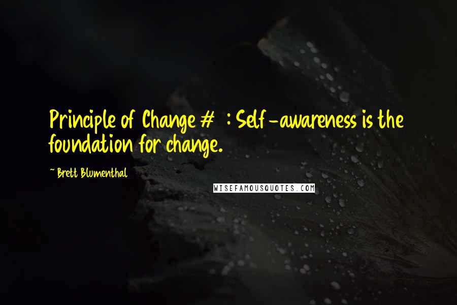 Brett Blumenthal Quotes: Principle of Change #2: Self-awareness is the foundation for change.