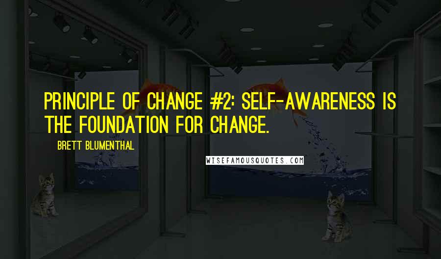 Brett Blumenthal Quotes: Principle of Change #2: Self-awareness is the foundation for change.