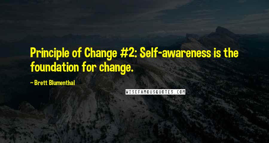 Brett Blumenthal Quotes: Principle of Change #2: Self-awareness is the foundation for change.