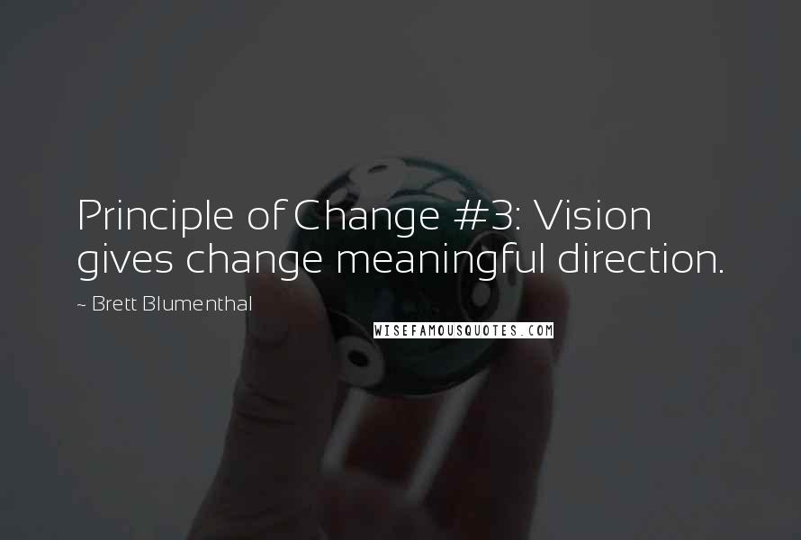 Brett Blumenthal Quotes: Principle of Change #3: Vision gives change meaningful direction.