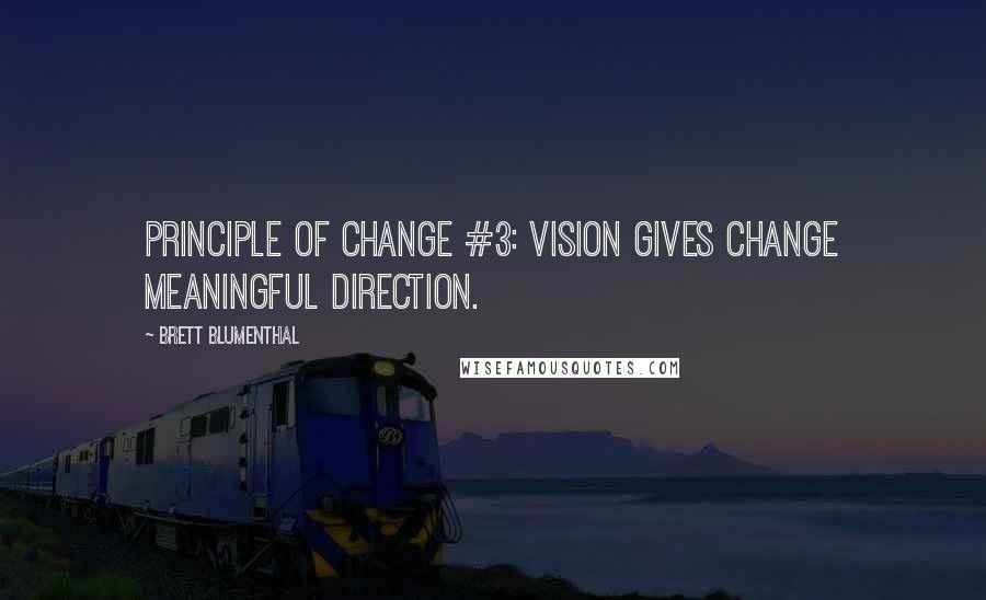 Brett Blumenthal Quotes: Principle of Change #3: Vision gives change meaningful direction.