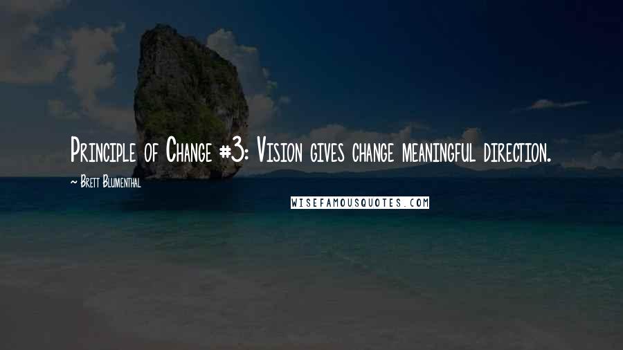 Brett Blumenthal Quotes: Principle of Change #3: Vision gives change meaningful direction.