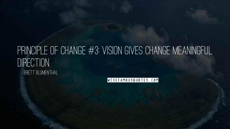 Brett Blumenthal Quotes: Principle of Change #3: Vision gives change meaningful direction.