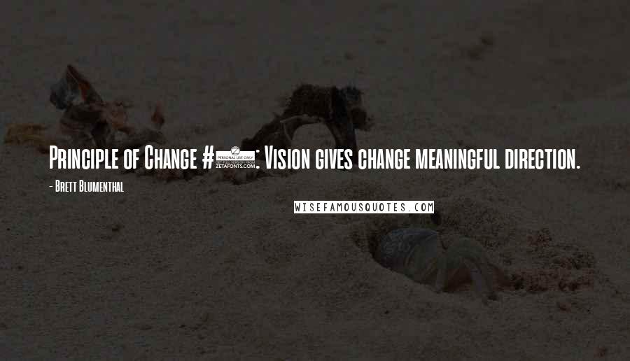 Brett Blumenthal Quotes: Principle of Change #3: Vision gives change meaningful direction.