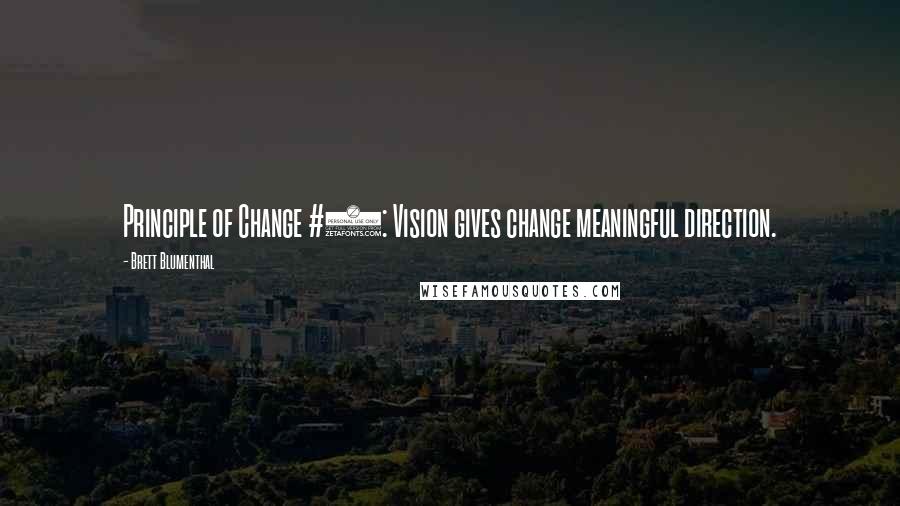 Brett Blumenthal Quotes: Principle of Change #3: Vision gives change meaningful direction.