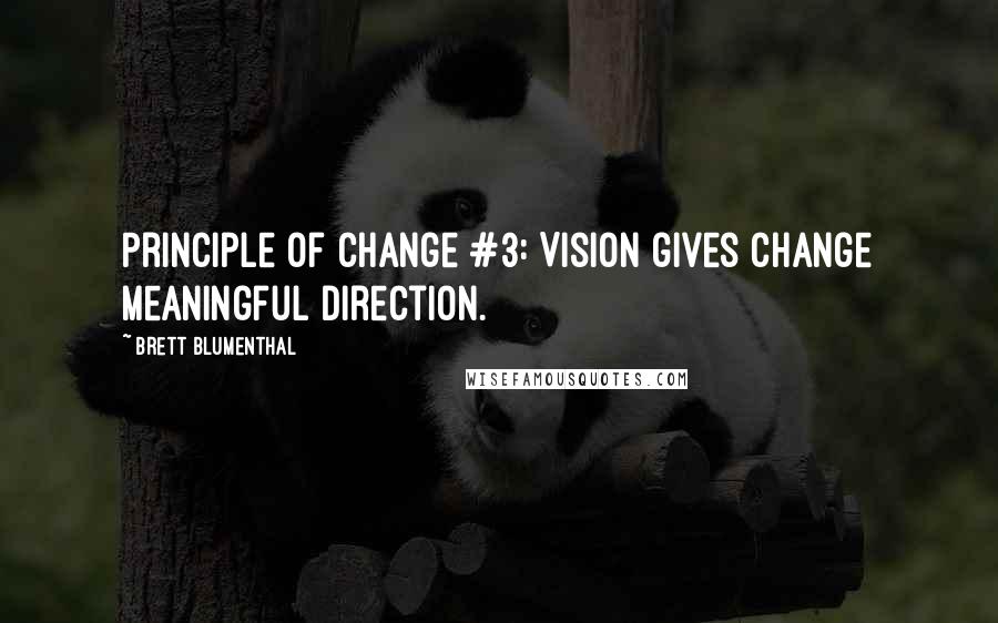 Brett Blumenthal Quotes: Principle of Change #3: Vision gives change meaningful direction.