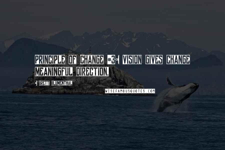 Brett Blumenthal Quotes: Principle of Change #3: Vision gives change meaningful direction.